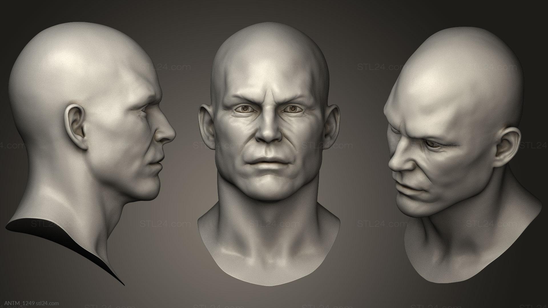 3D model (stl) Male Head Sculpt 02